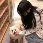 双人英雄枪战游戏下载